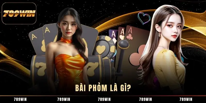 Bài Phỏm là gì? Bài Phỏm là gì?