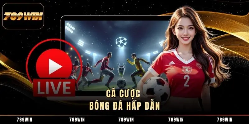 Cá cược bóng đá hấp dẫn Cá cược bóng đá hấp dẫn