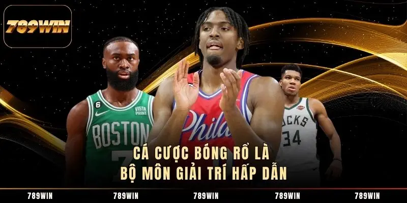 Cá cược bóng rổ là bộ môn giải trí hấp dẫn Cá cược bóng rổ là bộ môn giải trí hấp dẫn