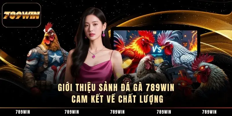 Giới thiệu sảnh đá gà 789WIN cam kết về chất lượng Giới thiệu sảnh đá gà 789WIN cam kết về chất lượng