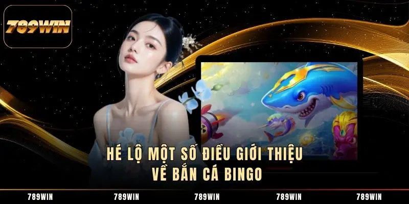 Hé lộ một số điều giới thiệu về bắn cá Bingo Hé lộ một số điều giới thiệu về bắn cá Bingo