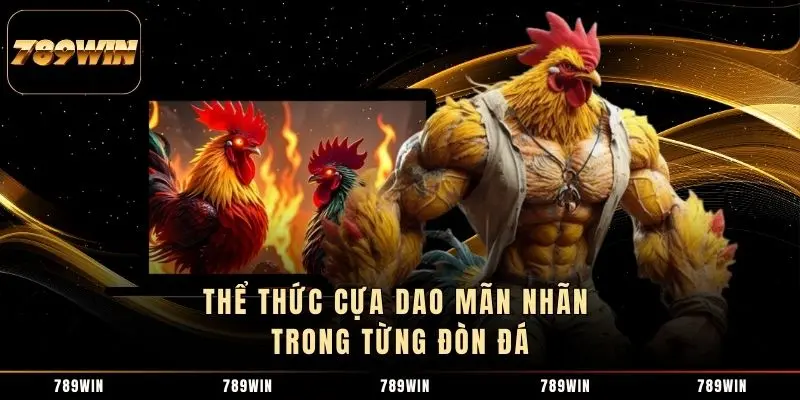 Thể thức cựa dao mãn nhãn trong từng đòn đá Thể thức cựa dao mãn nhãn trong từng đòn đá