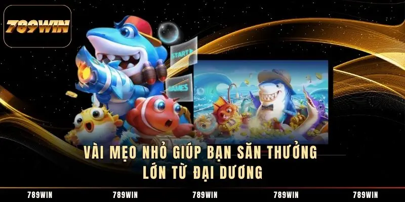 Vài mẹo nhỏ giúp bạn săn thưởng lớn từ đại dương Vài mẹo nhỏ giúp bạn săn thưởng lớn từ đại dương